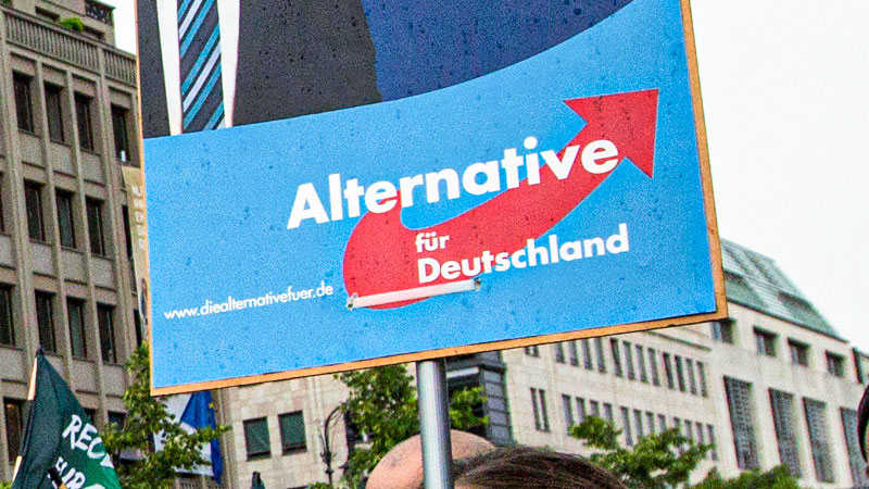 Abgeordnete Veröffentlichen Antrag Für AfD-Verbotsverfahren