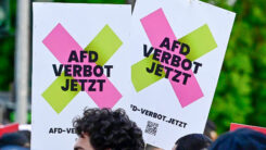 Demo, Demonstration, AfD, AfD-Verbot, Plakate, Menschen, Rassismus, Rechtsextremismus