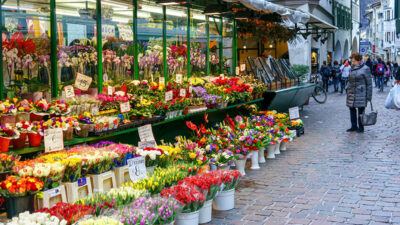 Blumenladen, Pflanzen, Blumen, Straße, Stadt, Passanten, Schaufenster